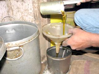 This will increase the import of edible oils this year | यंदा खाद्यतेलांच्या आयातीमध्ये होणार वाढ This will increase the import of edible oils this year | यंदा खाद्यतेलांच्या आयातीमध्ये होणार वाढ