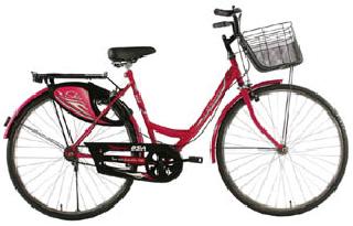 Eat bicycling dust | सायकली धूळ खात Eat bicycling dust | सायकली धूळ खात