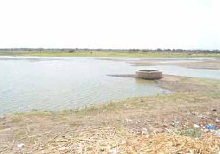 Only a month's water supply in a gray lake | करडी तलावात एक महिना पुरेल एवढाच जलसाठा Only a month's water supply in a gray lake | करडी तलावात एक महिना पुरेल एवढाच जलसाठा