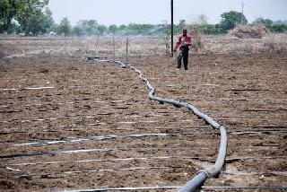 Instead of rain, farmers in the eyes of farmers | पावसाऐवजी शेतकऱ्यांच्या डोळ्यात पाणी