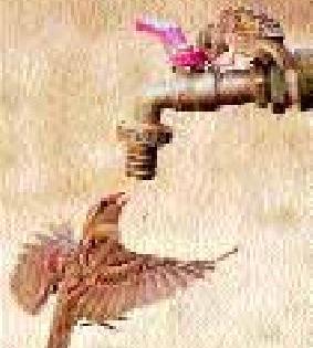Due to scarcity in 59 villages in the district | जिल्ह्यात ५९ गावांवर टंचाईचे सावट