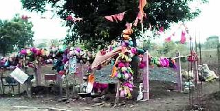 The people's feeling of limb coming out of a limb tree | लिंबाच्या झाडात फांदीच्या रुपाने नाग अवतरल्याची लोकांची भावना
