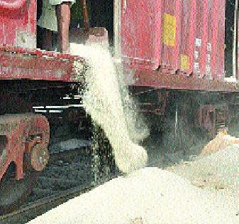 Even when the grain waste will stop? | धान्याची नासाडी थांबणार तरी कधी ?
