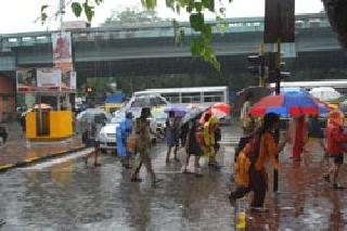 The rainy arrival of rain finally | अखेर पावसाचे दमदार आगमन