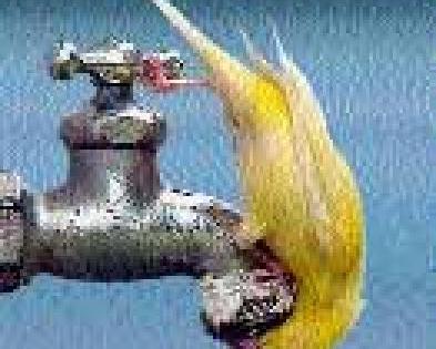 Order to prepare water shortage plan till September | सप्टेंबरपर्यंतचा पाणीटंचाईचा आराखडा तयार करण्याचे आदेश Order to prepare water shortage plan till September | सप्टेंबरपर्यंतचा पाणीटंचाईचा आराखडा तयार करण्याचे आदेश