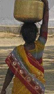 Ten pond dryers | दहा तलाव कोरडेठाक Ten pond dryers | दहा तलाव कोरडेठाक