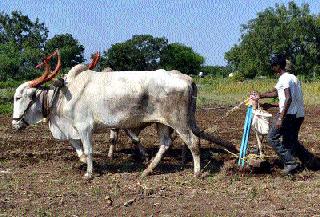 Drought from the scarcity ... | टंचाईकडून दुष्काळाकडे...
