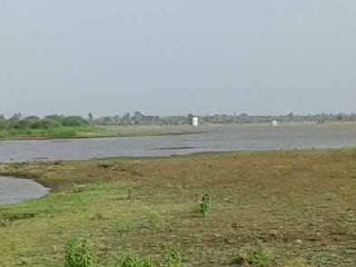 Dry drought | कोरड्या दुष्काळाचे सावट
