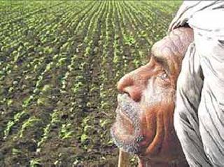 Seeing the eyes are in the sky | नजरा आकाशाकडे खिळल्या