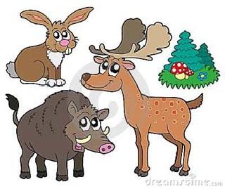 In the horticultural farming crisis due to wild animal mosses | वन्य प्राण्यांच्या उच्छादामुळे बागायती शेती संकटात