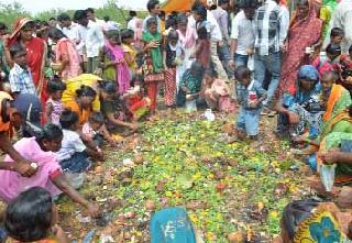 Aadha Nagnath, for the fortnight of Nadir | आषाढीनिमित्त औंढा नागनाथ, नर्सीत भाविकांची मांदियाळी