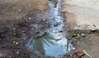 Healthy questioning due to sewage is serious | सांडपाण्यामुळे आरोग्याचा प्रश्न गंभीर Healthy questioning due to sewage is serious | सांडपाण्यामुळे आरोग्याचा प्रश्न गंभीर