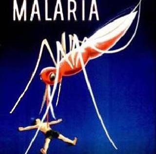 Malaria Public awareness campaign | हिवताप जनजागृती मोहीम Malaria Public awareness campaign | हिवताप जनजागृती मोहीम