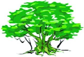 NCP's objection to tree trunk | वृक्षलागवडीच्या निविदेस राष्ट्रवादीचा आक्षेप NCP's objection to tree trunk | वृक्षलागवडीच्या निविदेस राष्ट्रवादीचा आक्षेप
