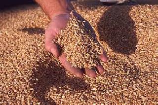 Announcement of Food Security Organizations on Budget | अर्थसंकल्पावर अन्नसुरक्षा संघटनांची नाराजी Announcement of Food Security Organizations on Budget | अर्थसंकल्पावर अन्नसुरक्षा संघटनांची नाराजी