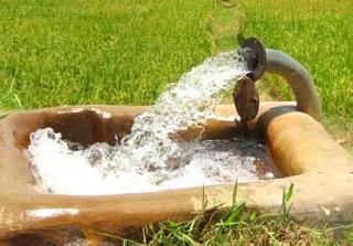 Irregularities in the agricultural connections of MSEDCL | महावितरणच्या कृषिपंप जोडण्यांमध्ये अनियमितता Irregularities in the agricultural connections of MSEDCL | महावितरणच्या कृषिपंप जोडण्यांमध्ये अनियमितता