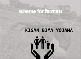 White elephant destined for farmers' accident insurance plan | किसान जनता अपघात विमा योजना ठरतेय पांढरा हत्ती! White elephant destined for farmers' accident insurance plan | किसान जनता अपघात विमा योजना ठरतेय पांढरा हत्ती!