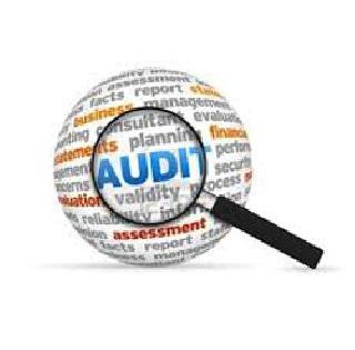 After five years the colleges will now be audited | पाच वर्षांनंतर महाविद्यालयांचे आता लेखापरीक्षण होणार