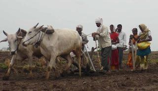 The irrigation of sowing has increased in Washim district | वाशिम जिल्ह्यात पेरण्यांची लगबग वाढली