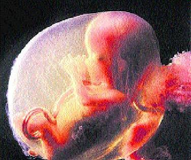 Illegal miscarriage again in the city? | शहरात पुन्हा अवैध गर्भपात?