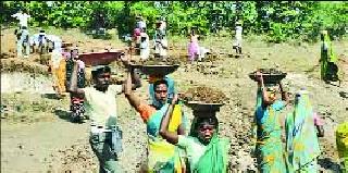 Investigations by the District Collector of Pathardi Roho scam | पाथर्डी रोहयो घोटाळ्याची जिल्हाधिकाऱ्यांमार्फत चौकशी