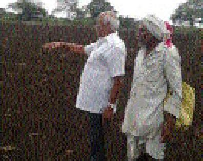 Soyabean seed soaps on 150 acres | दीडशे एकरावरील सोयाबीन बियाणे मातीत Soyabean seed soaps on 150 acres | दीडशे एकरावरील सोयाबीन बियाणे मातीत