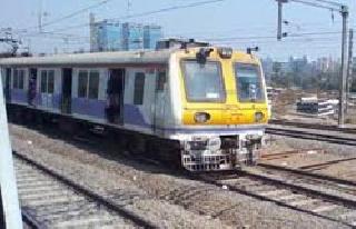 The train's buffaloes on the Harbor route | हार्बर मार्गावर ट्रेनची म्हशींना धडक