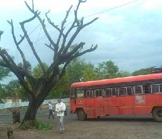 Dry trees became dangerous | शुष्क झाडे बनली धोकादायक Dry trees became dangerous | शुष्क झाडे बनली धोकादायक