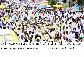 A large number of sheep with sheep on the road | मेंढ्यांसह धनगर समाज रस्त्यावर