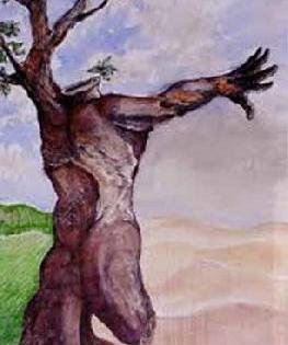 'Lose' for tree conservation | वृक्षसंवर्धनाच्या उद्दिष्टाला ‘खो’ 'Lose' for tree conservation | वृक्षसंवर्धनाच्या उद्दिष्टाला ‘खो’
