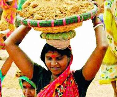 Ignore the quality of work | रोहयो कामांच्या गुणवत्तेकडे दुर्लक्ष Ignore the quality of work | रोहयो कामांच्या गुणवत्तेकडे दुर्लक्ष
