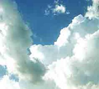 Due to no rain, the seedlings dried up | पाऊस पडत नसल्याने रोपे सुकू लागली Due to no rain, the seedlings dried up | पाऊस पडत नसल्याने रोपे सुकू लागली