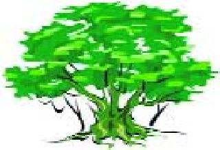 Beware of entrepreneurs! If you plant trees .. | उद्योजकांनो खबरदार! झाडे लावाल तर..