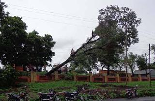 The tree fell on the memorial .. | आवारभिंतीवर पडले झाड ..