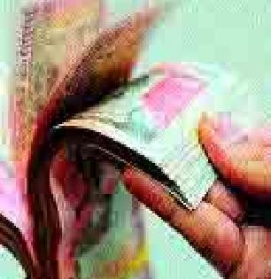 25 percent spent | २५ टक्केच झाला खर्च 25 percent spent | २५ टक्केच झाला खर्च