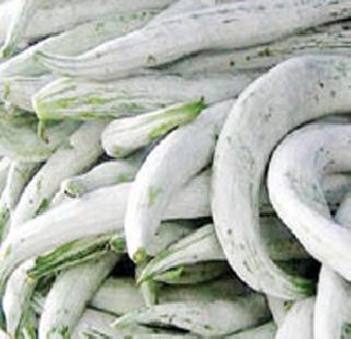 1 ton of vegetable stocked in Pune seized | पुण्यात रंग लावलेली 1 टन भाजी जप्त