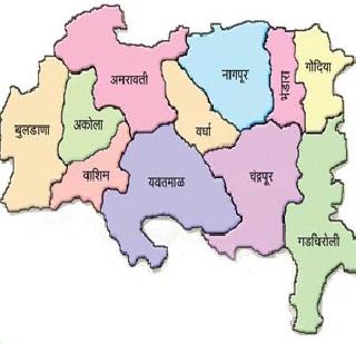In the capital for independent Vidharbha | स्वतंत्र विदर्भासाठी राजधानीत धरणे