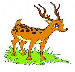 Stag-Peacock | हरिण- मोरांकडून कोवळे पीक फस्त