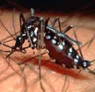 Disease in the hospital increased risk! | रुग्णालयातच वाढला आजारांचा धोका!