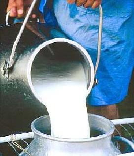 Innovative grants for dairy products | दुग्धोत्पादनासाठी नाविन्यपूर्ण अनुदान
