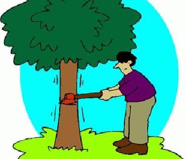 Illegal logging; Minitrover seized | अवैध लाकूडतोड; मिनीट्रक जप्त