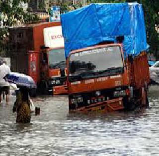 Nature of pond at Panvel RTO | पनवेल आरटीओ परिसरास तलावाचे स्वरूप