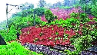 The rail line was closed for some time due to the collapse of the ridge in the Kasra Ghat area on the Nashik-Mumbai railway line. | दरड कोसळली : नाशिक-मुंबई रेल्वेमार्गावरील कसारा घाट परिसरातील रेल्वेरूळावर दरड कोसळल्याने रेल्वेमार्ग काही वेळ बंद होता. The rail line was closed for some time due to the collapse of the ridge in the Kasra Ghat area on the Nashik-Mumbai railway line. | दरड कोसळली : नाशिक-मुंबई रेल्वेमार्गावरील कसारा घाट परिसरातील रेल्वेरूळावर दरड कोसळल्याने रेल्वेमार्ग काही वेळ बंद होता.