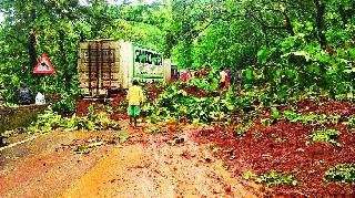 कसारा घाटात दरड कोसळली