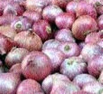 Inland taluka was planted onion production! | भूम तालुक्यात कांदा लागवड झाली ठप्प !