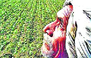 This year, 50 percent less rainfall | यंदा पाऊस ५० टक्क्यांनी कमी This year, 50 percent less rainfall | यंदा पाऊस ५० टक्क्यांनी कमी