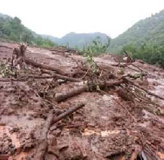 Problems with the help of swamps | दलदलीमुळे मदतीमध्ये अडचणी