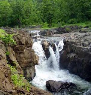 A pleasant tour of Gullarghat-Khatakali | गुल्लरघाट-खटकालीची आनंददायी सहल