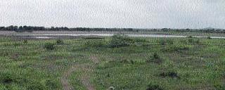 After the Nimya rains, the lake is dry | निम्या पावसाळ्यानंतरही तलाव कोरडेठाक