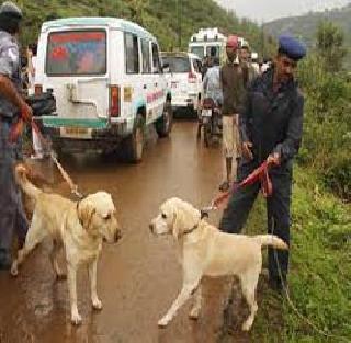 Schwartpike help to find citizens | नागरिकांना शोधण्यासाठी श्वानपथकाची मदत Schwartpike help to find citizens | नागरिकांना शोधण्यासाठी श्वानपथकाची मदत